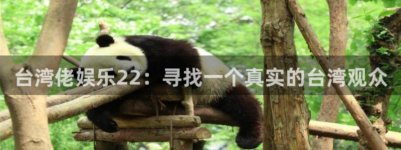 澳门jdb电子游戏：台湾佬娱乐22：寻找一个真实的台湾观众