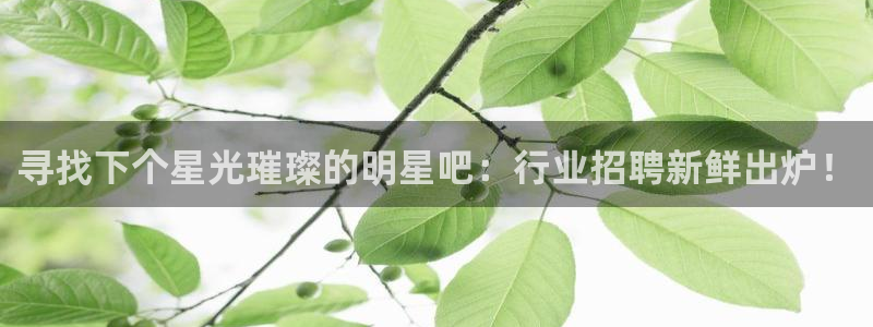 澳门jdb电子：寻找下个星光璀璨的明星吧：行业招聘新鲜出炉！