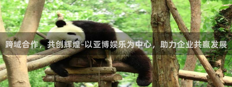 jdb电子试玩网址：跨域合作，共创辉煌-以亚博娱乐为中心，助力企业共赢发展