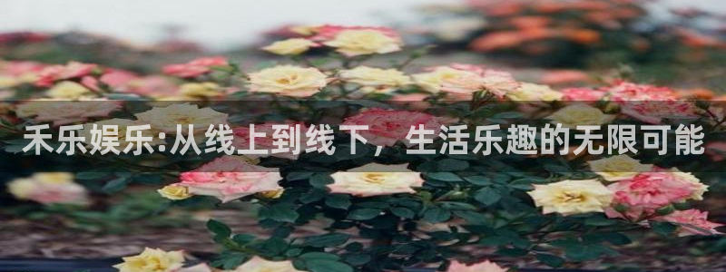 jdb电子飞鸟派对：禾乐娱乐:从线上到线下，生活乐趣的无限可能