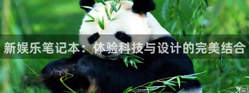 jdb电子试玩网址：新娱乐笔记本：体验科技与设计的完美结合